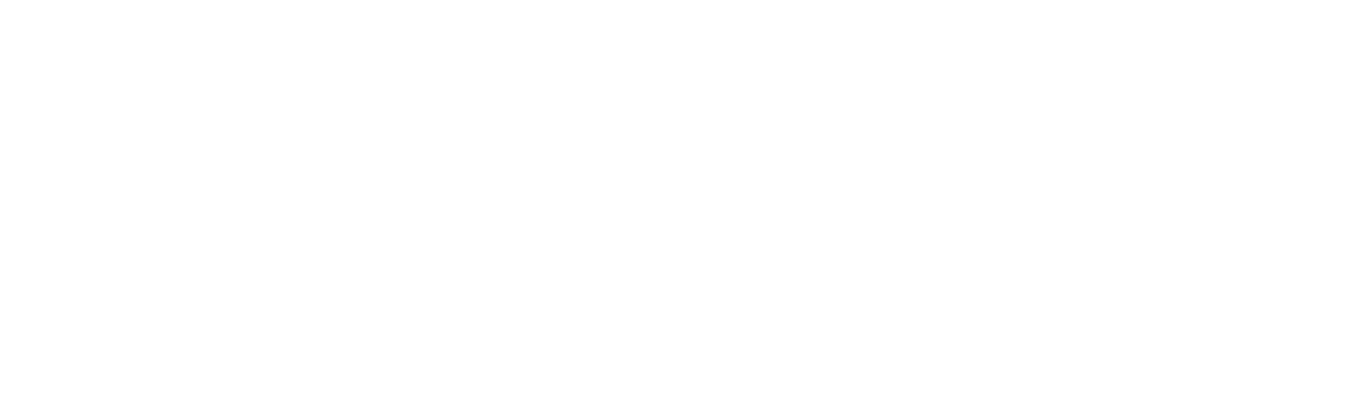 logo piter 